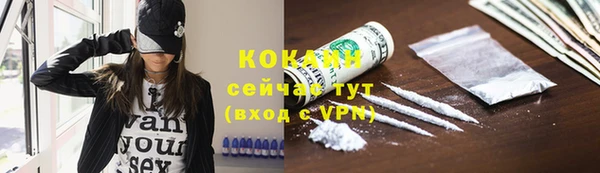 шишки Армянск